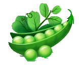 农作物健康专家系统 img