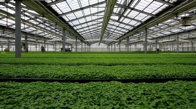 智慧大棚智能化控制 img